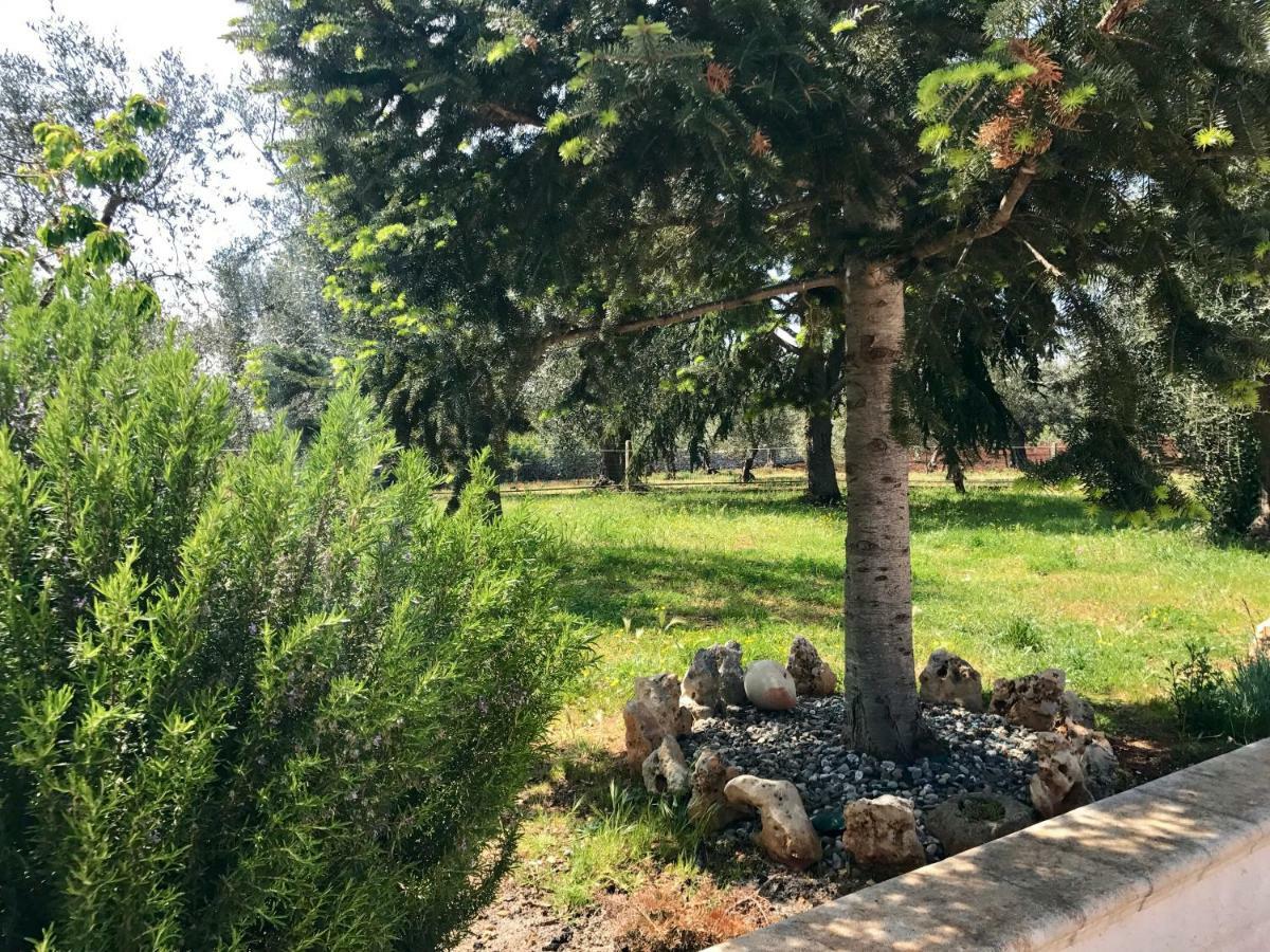 לינה וארוחת בוקר Impalata Il Trullo Di Giulietta מראה חיצוני תמונה